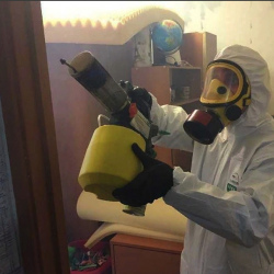 Уничтожение клопов в квартире. Панфиловская